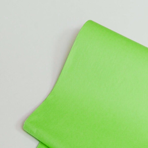 PAPEL CHINA 50X75 CM. VERDE FLOUR. PZA